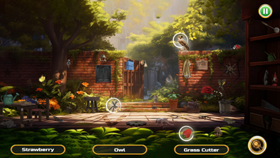 Find Out Hidden Objects Games Screenshot