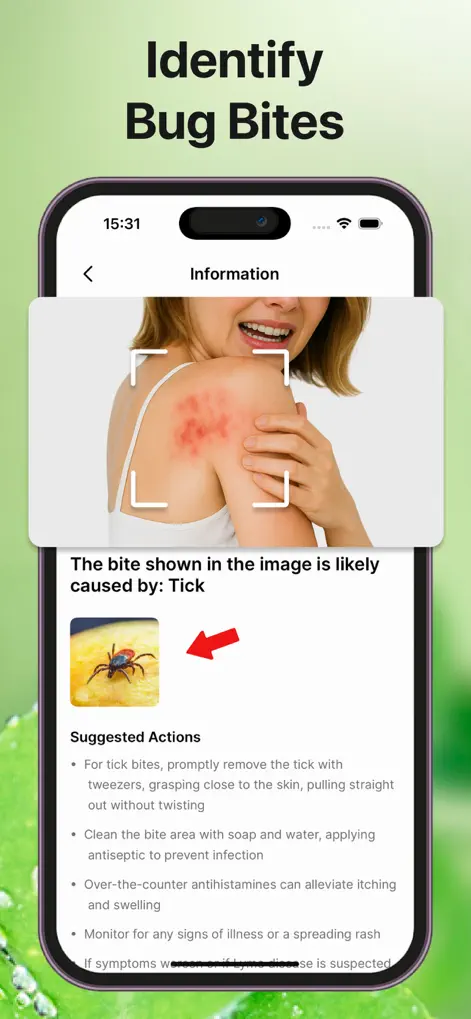 Bug Sound Identifier Insect ID - Utilities App | MWM
