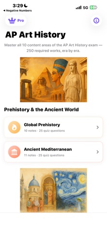 AP Art History Quiz & Notes iPhone screenshot