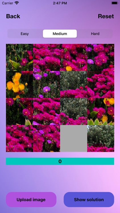 PicJigSquare screenshot-4