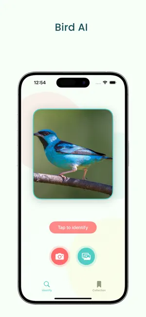 Bird AI - bird identifier screenshot 1
