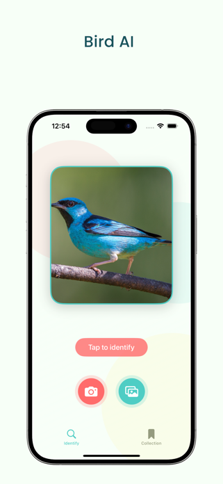 Bird AI - bird identifier Screenshot 1 of 4