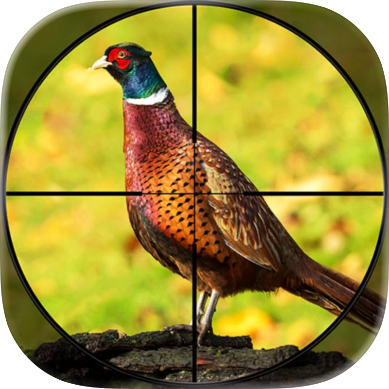 Missões de Caça de Animais screenshot 6