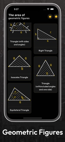 Area geometric figures screenshot