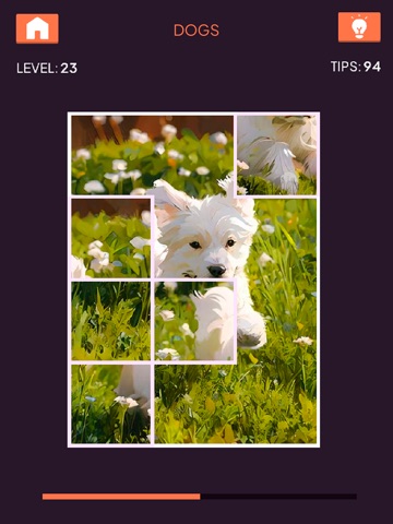 ShufflePic iPad screenshot