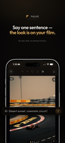 Fauve by FlexPresets Screenshot 2 of 5