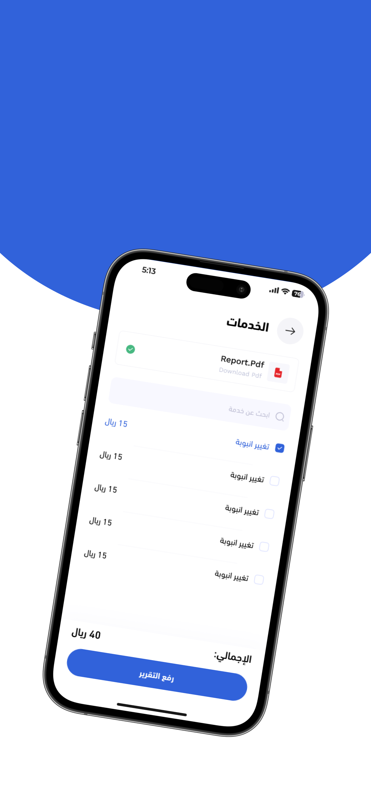 كشف تسريبات (المهني)