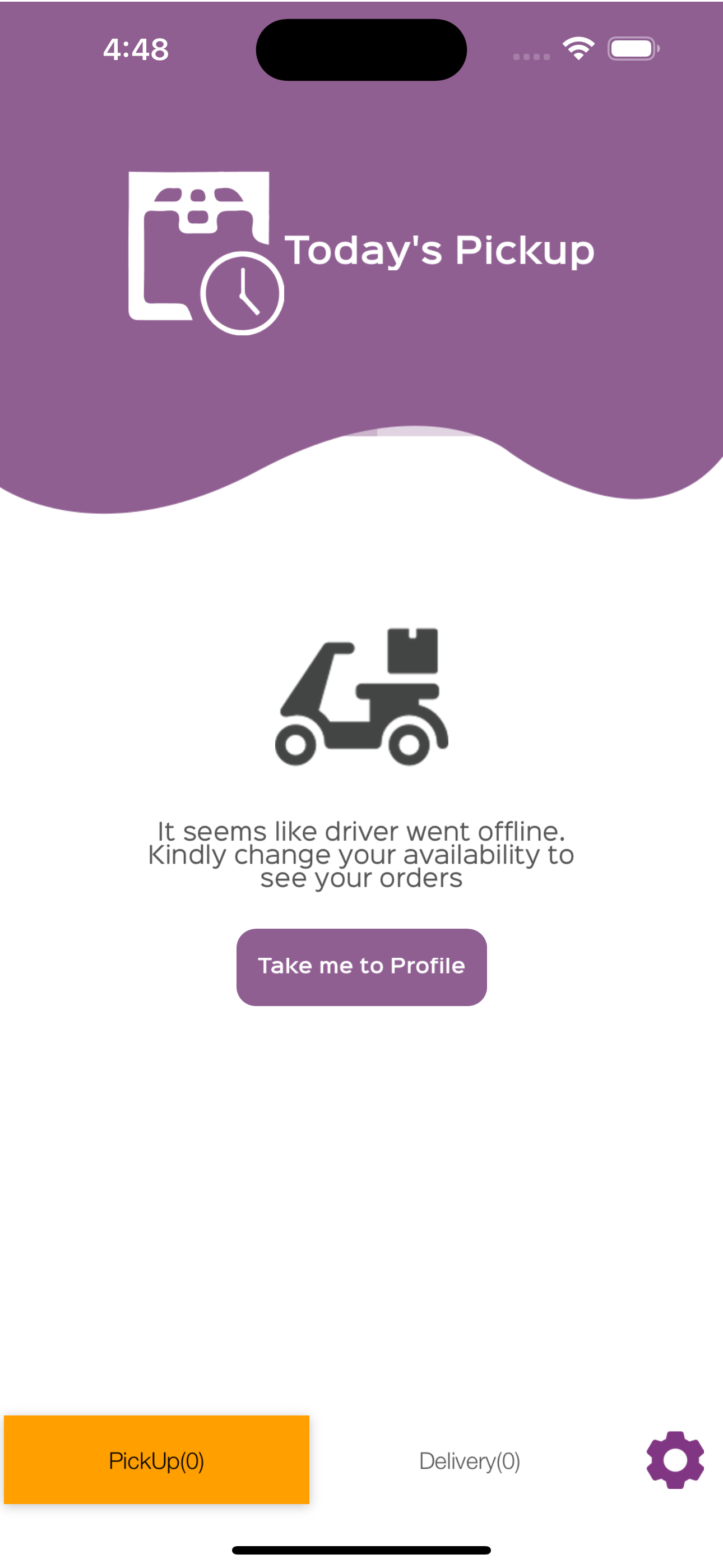 Sasian Ironing Driver screenshot 3