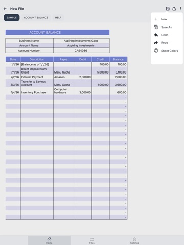 Account Statement iPad screenshot