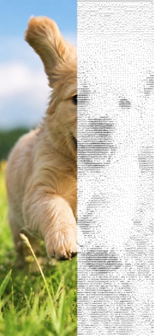 MojiCam - ASCII Art Video iPhone screenshot