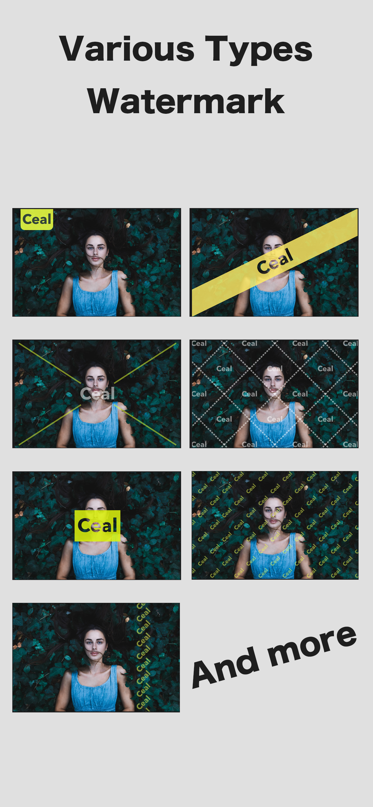 Watermark Editor - Ceal screenshot 3