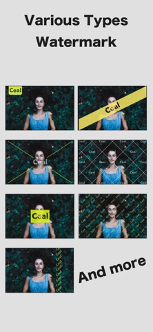 Watermark Editor - Ceal screenshot