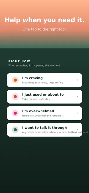 Recovery Space screenshot 4