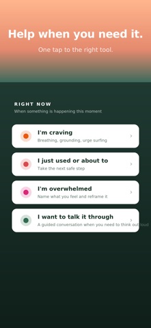 Recovery Space screenshot