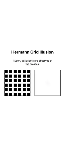 Скриншот IllusionTEST на iPhone 4
