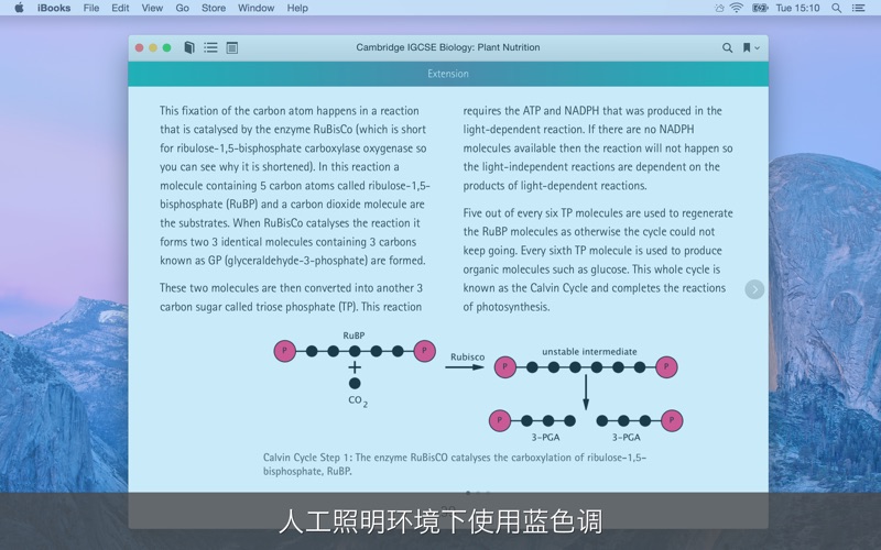 NightTone - 蓝光过滤护眼工具 screenshot