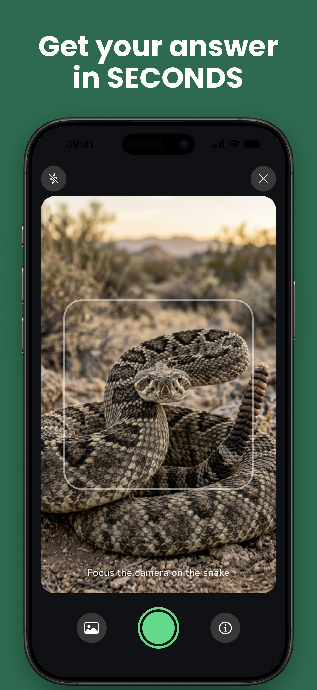 Snake Identifier: Venom Detect screenshot 3