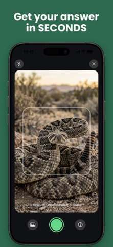 Snake Identifier: Venom Detect Screenshot 3 of 6