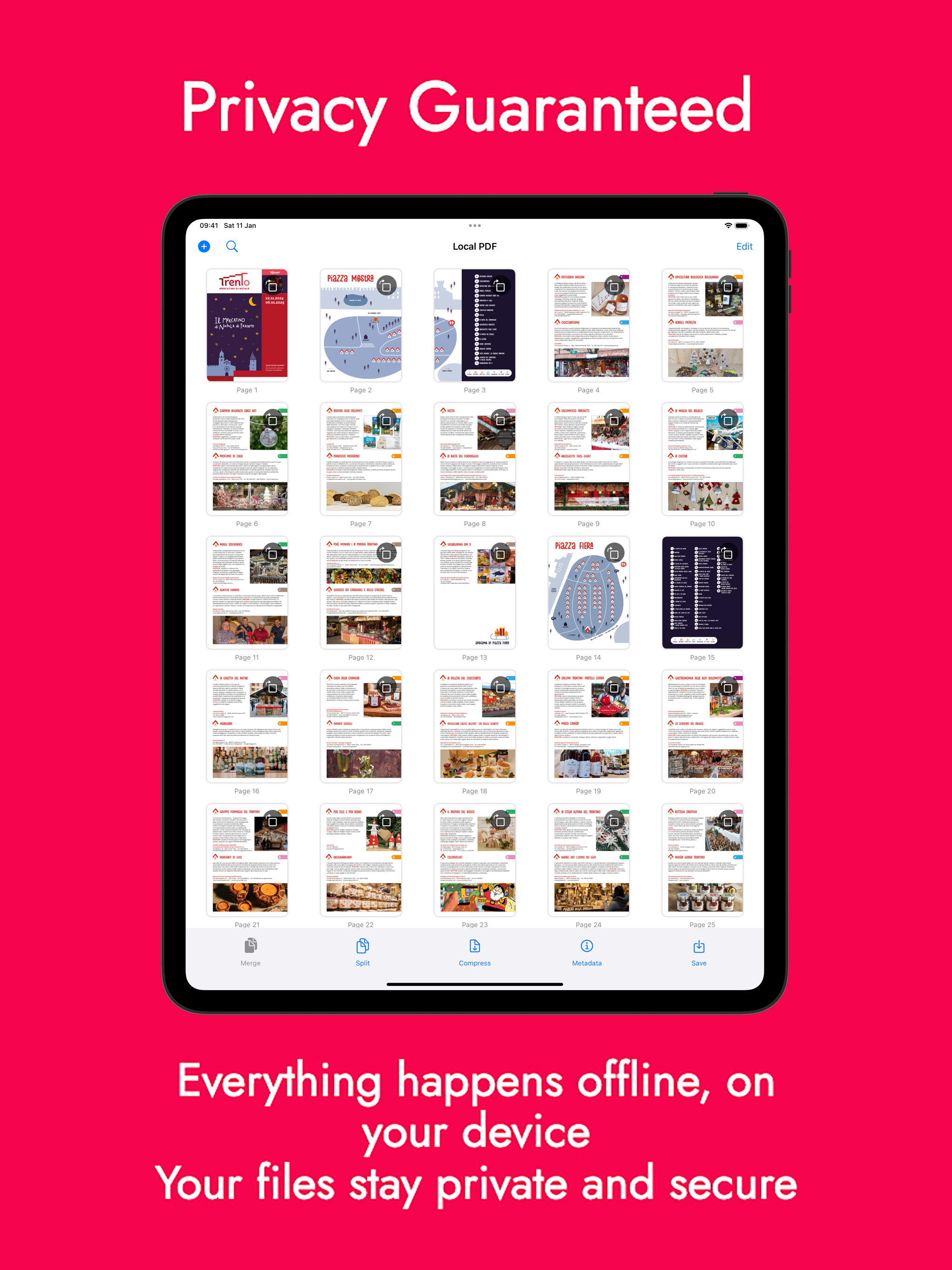 Local PDF screenshot 10