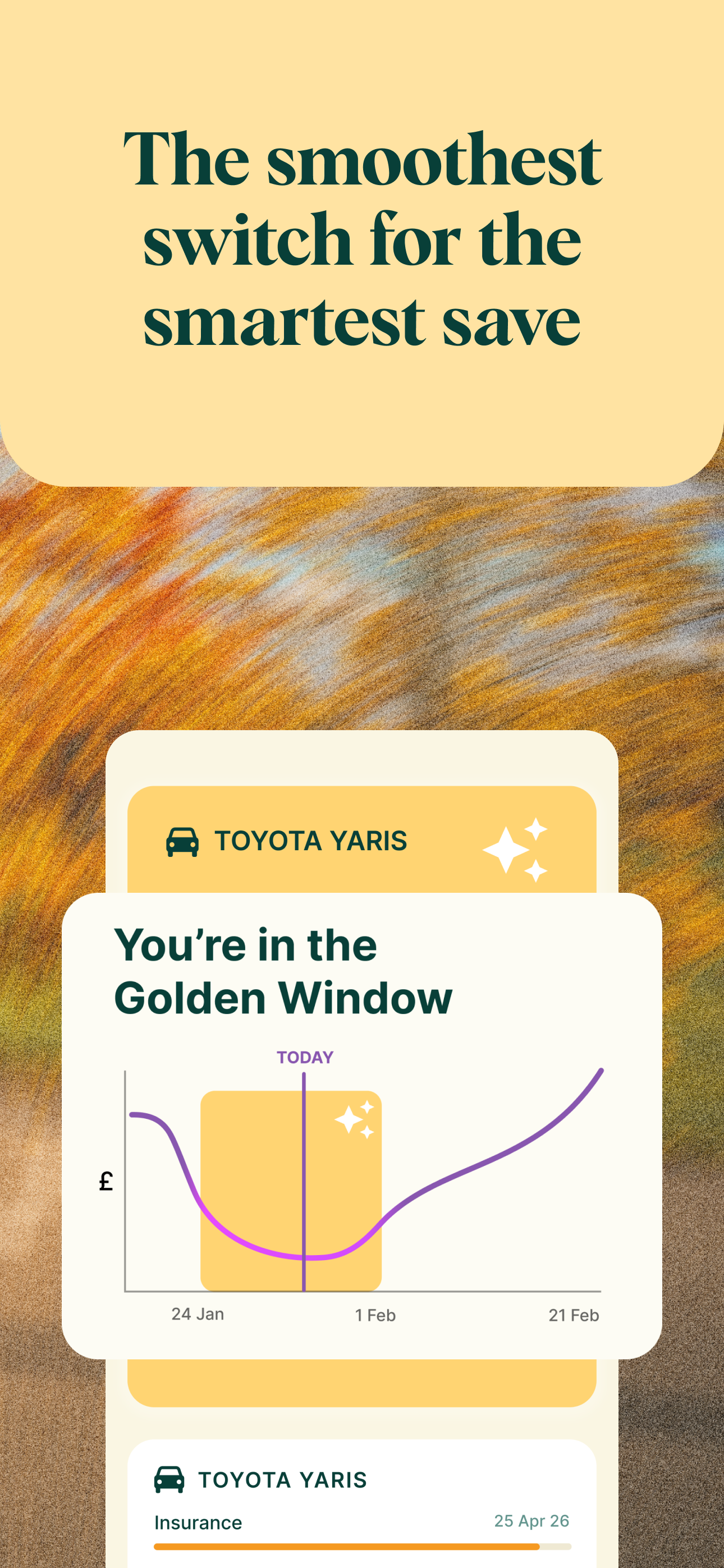 Renewal: Your Insurance Sorted
