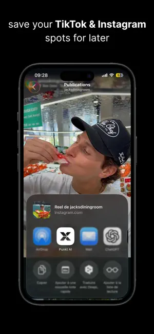 Punkt AI iPhone screenshot 2
