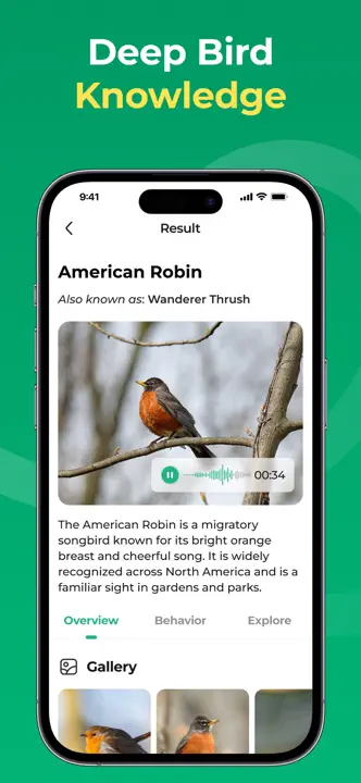 Bird Identifier: Screenshot 4 von 6