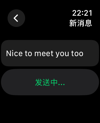 BabelChat screenshot 15