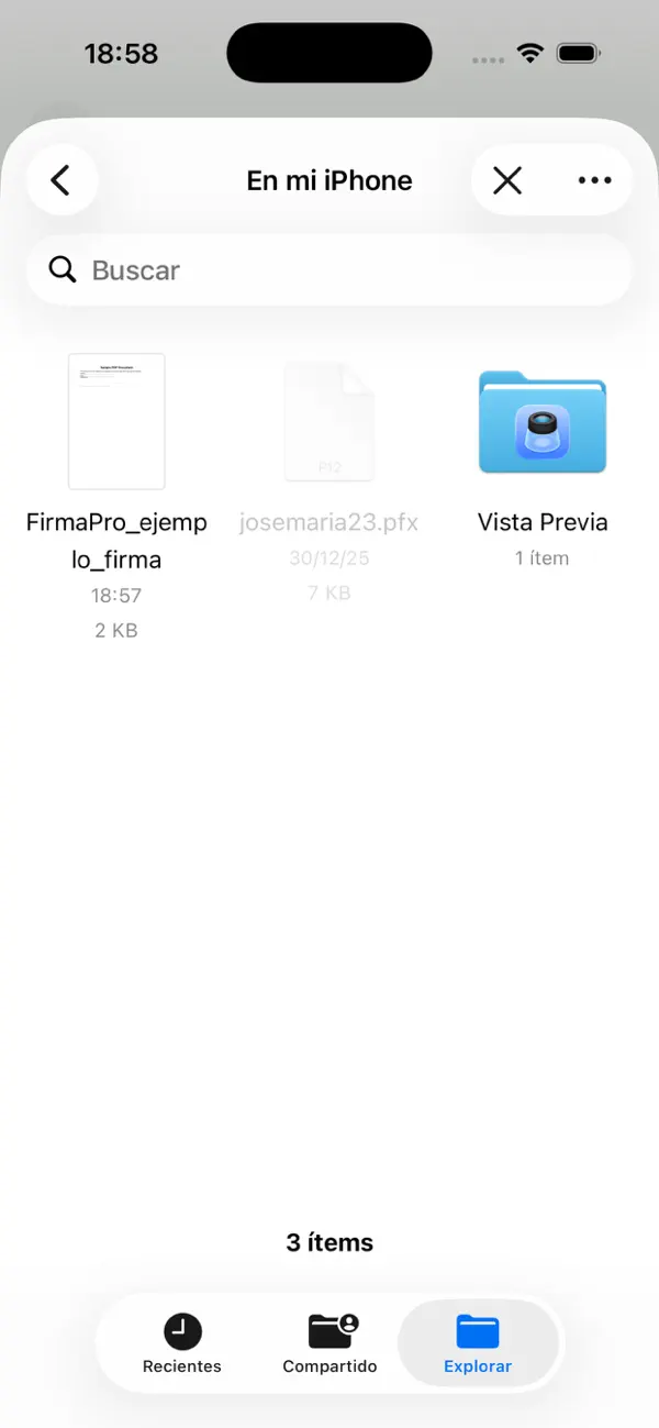 Screenshot #3 pour FirmaPro