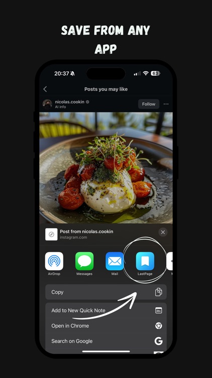 LastPage: Save Any Link