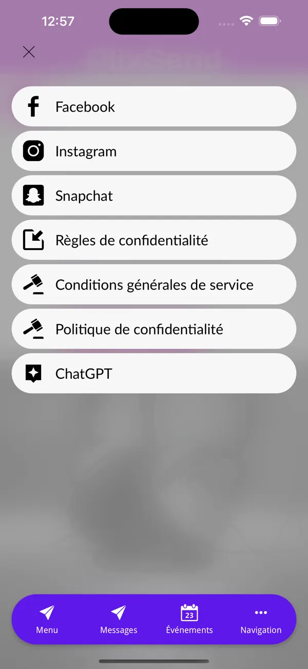 Screenshot #2 pour PlixSend