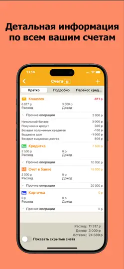 Скриншот Домашняя Бухгалтерия. Финансы на iPhone 2