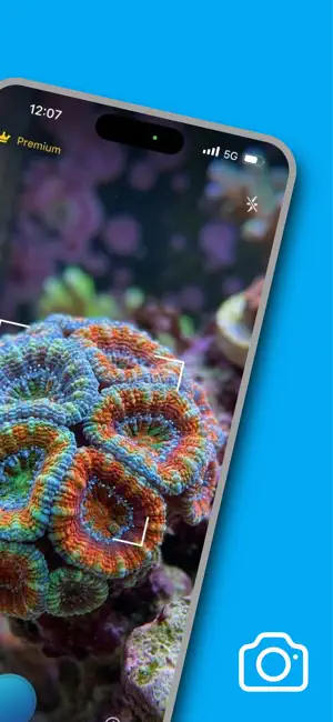Coral Identifier: Reef Care screenshot 2