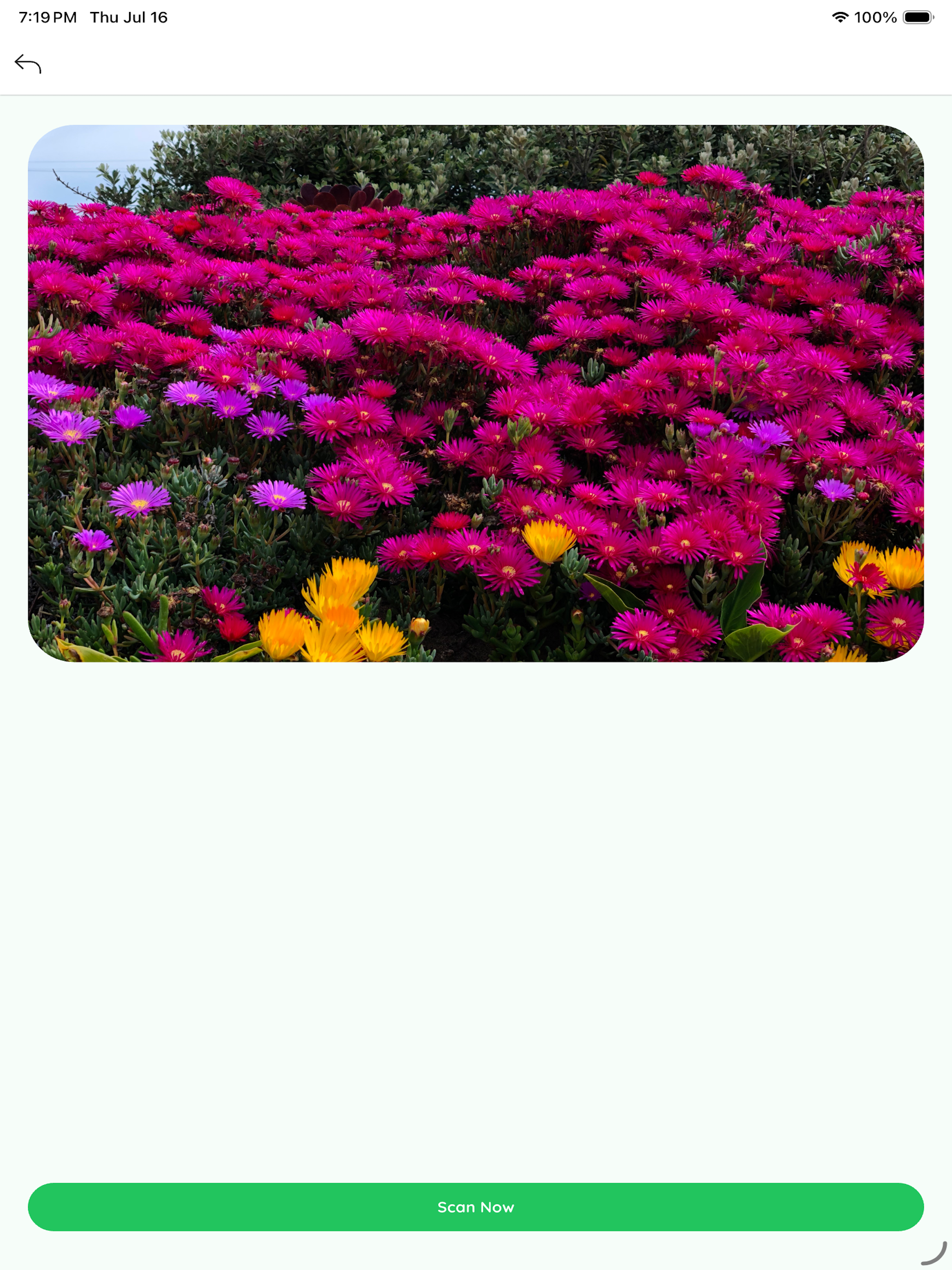 AI Plant Scan App screenshot 10