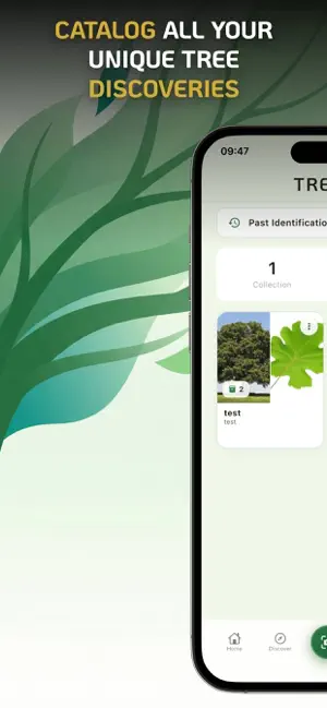 #6. Tree Identifier : Leaf Finder (iOS) Podle: BASAK GEDIK