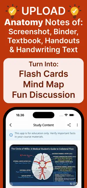 Anatomy Note Mindmap Flashcard screenshot 2