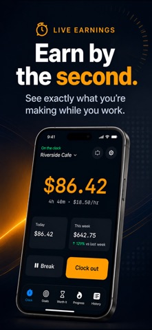 Secondly: Live Salary Counter Screenshot 1 of 7