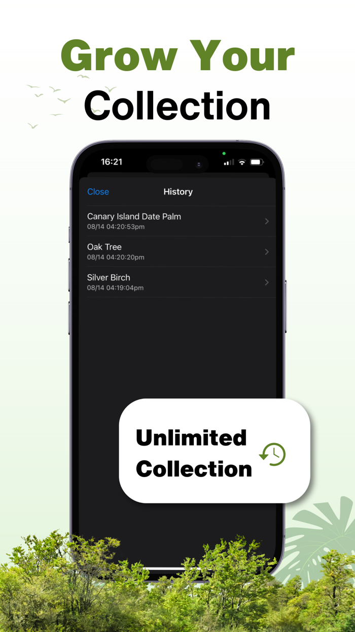 Tree Identifier - AI Scanner