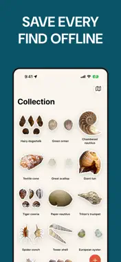 Sea Shell Identifier: ShellMap screenshot 6
