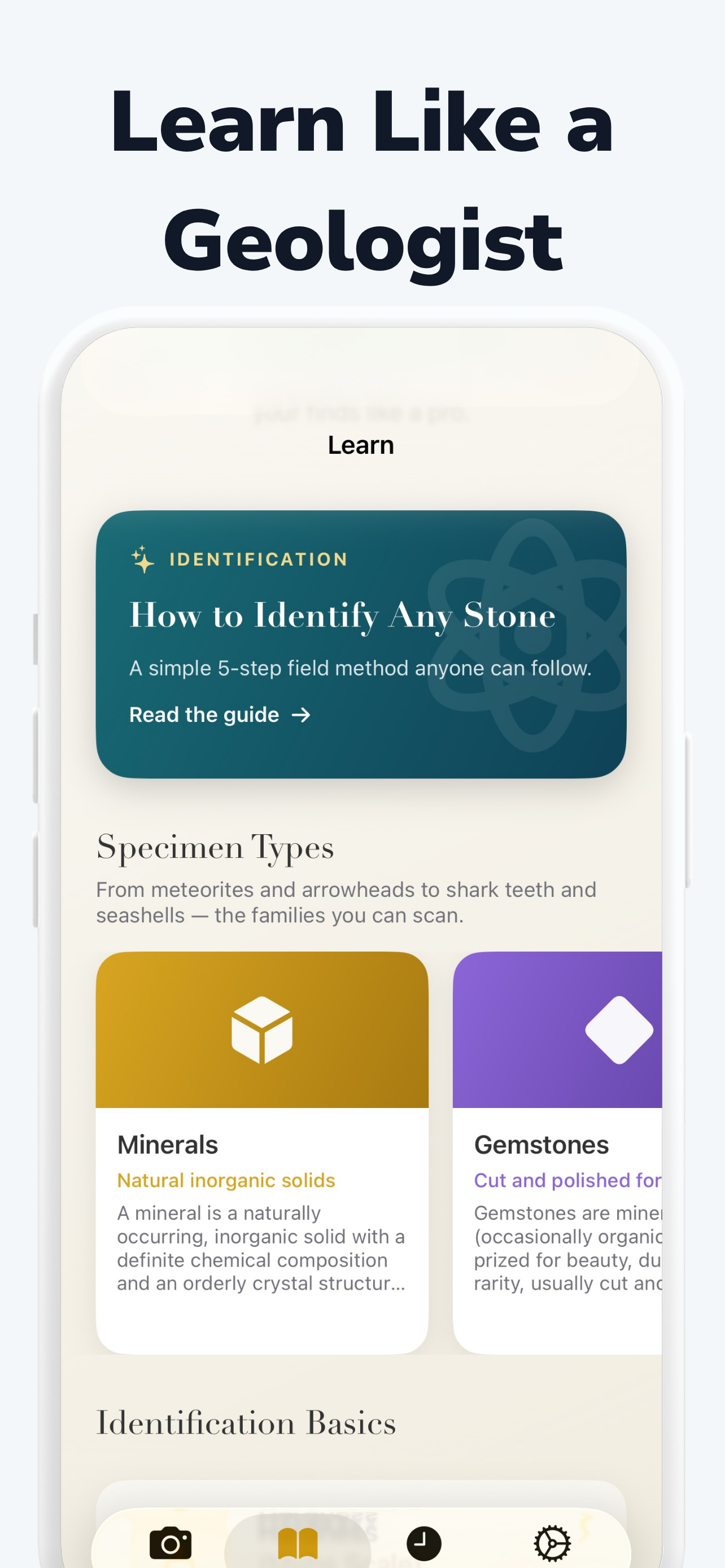 Fossil Scanner & Identifier screenshot 8