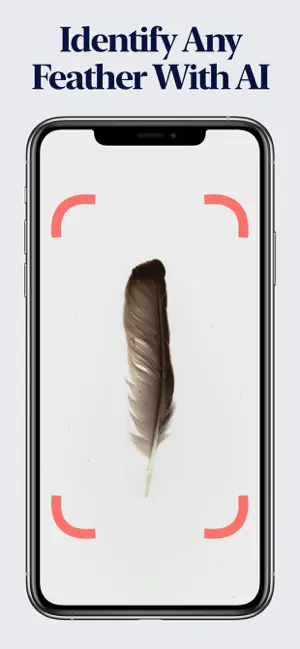 Feather Identifier screenshot 1