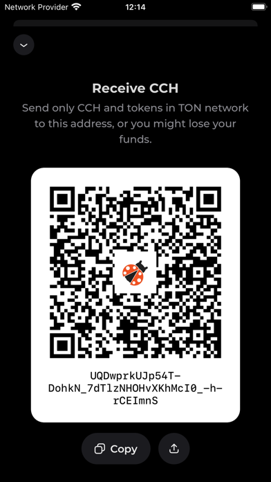 Cryptocash wallet