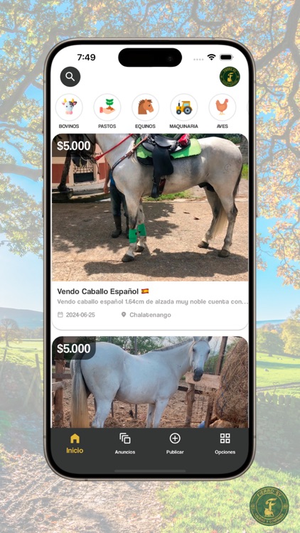 Fierro sv screenshot-5