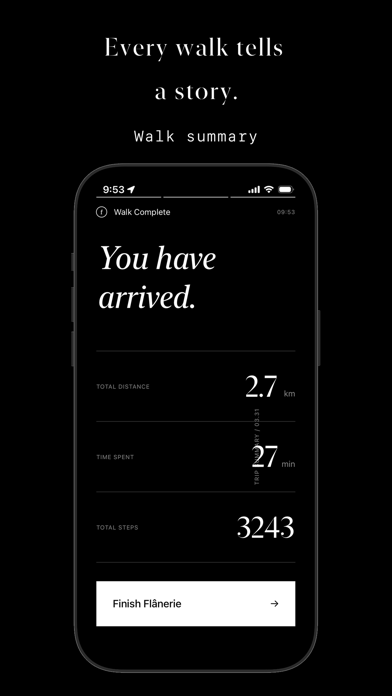 flâneur. screenshot
