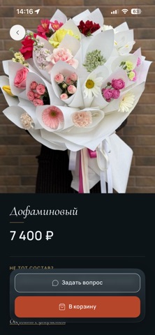 PIONFLOWERS screenshot