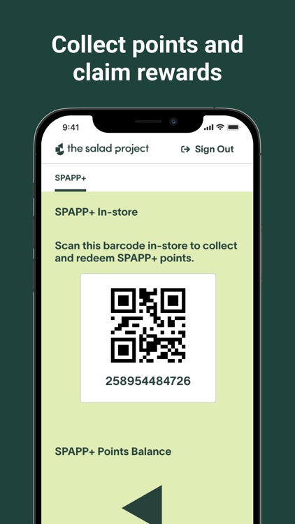 The Salad Project screenshot-6