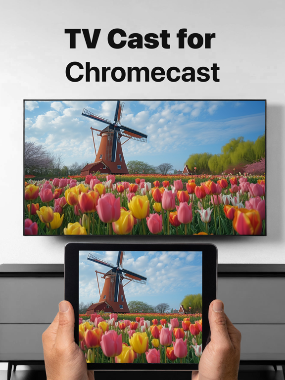 Mirror for Chromecast app