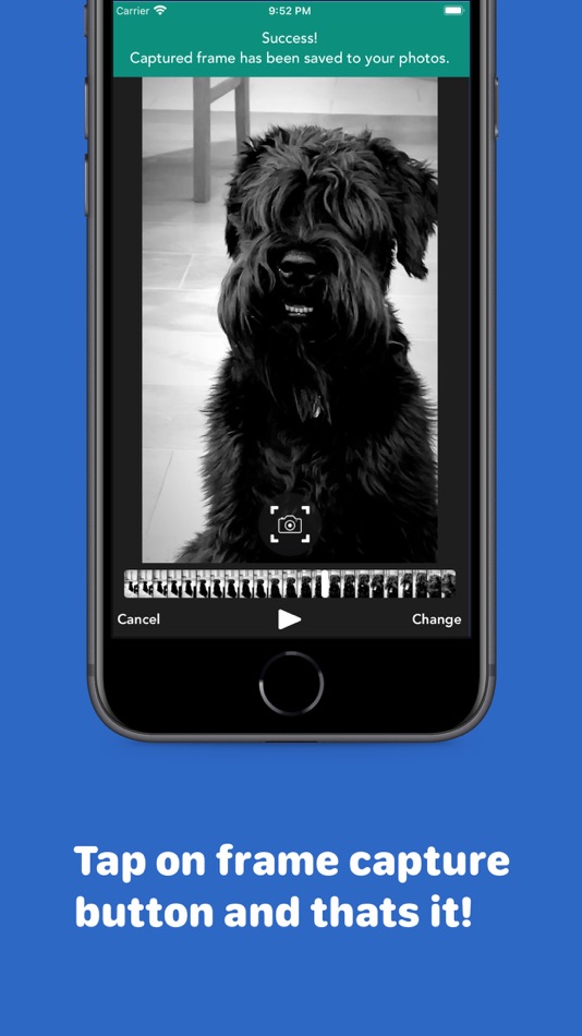 #4. FrameShot - Photos from Videos (iOS) By: Karolis Raiselis