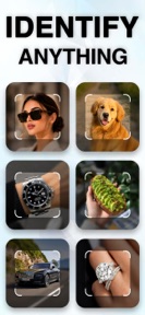 Lens AI – Identify Anything screenshot
