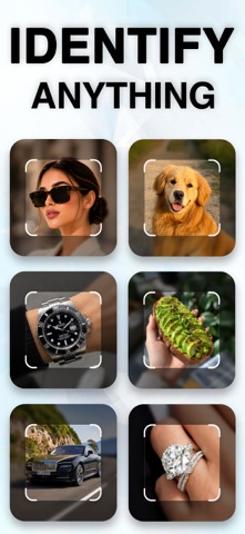 Lens AI – Identify Anything screenshot