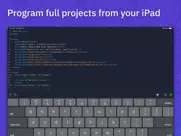 replit: idea to software, fast айпад изображения 1